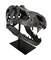 Gray Finished Tyrannosaurus Rex Fossil Skull Statue On Museum Mount T-Rex